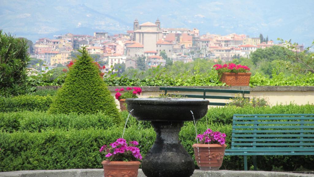 Villa Tuscolana Frascati Εξωτερικό φωτογραφία